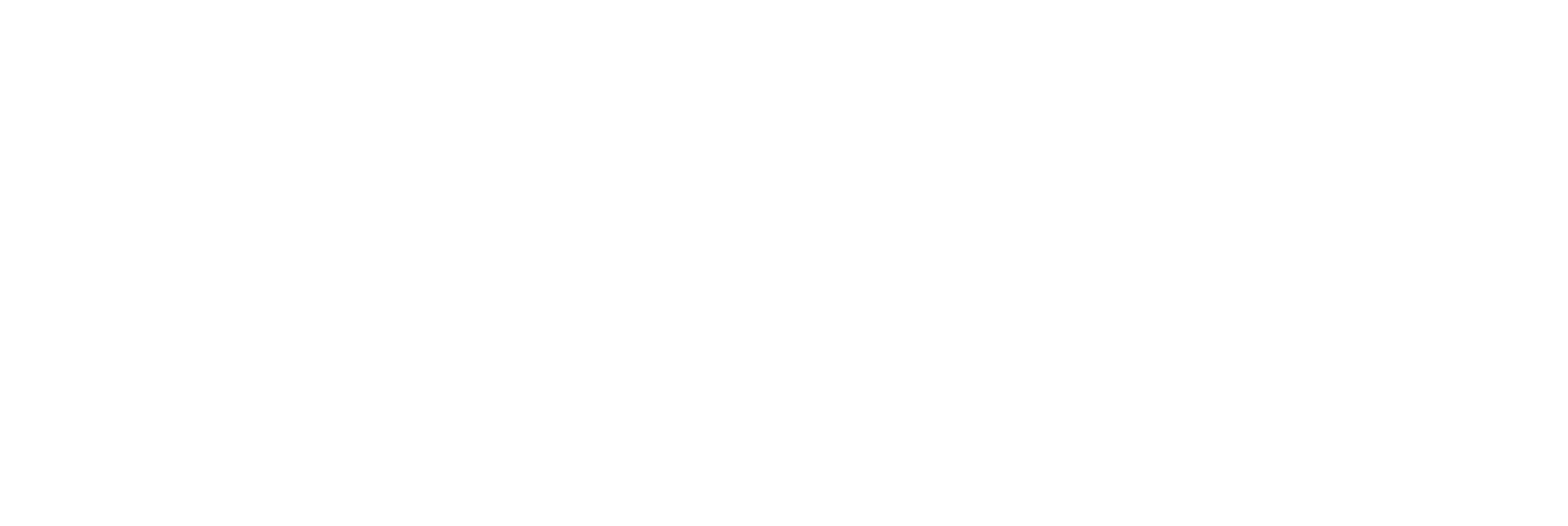 Say'les Fitness